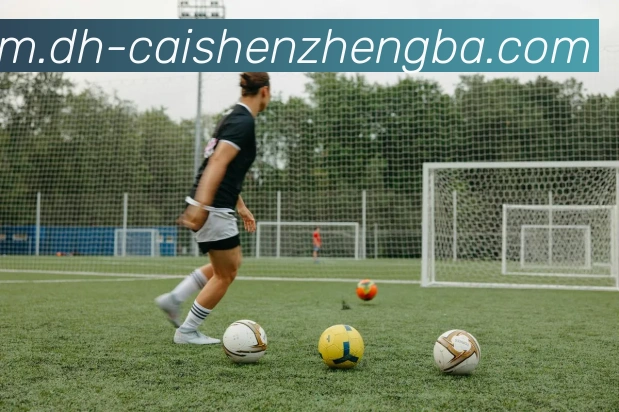 辅助工具 辅助工具